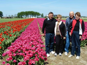 Picture in Tulip fields